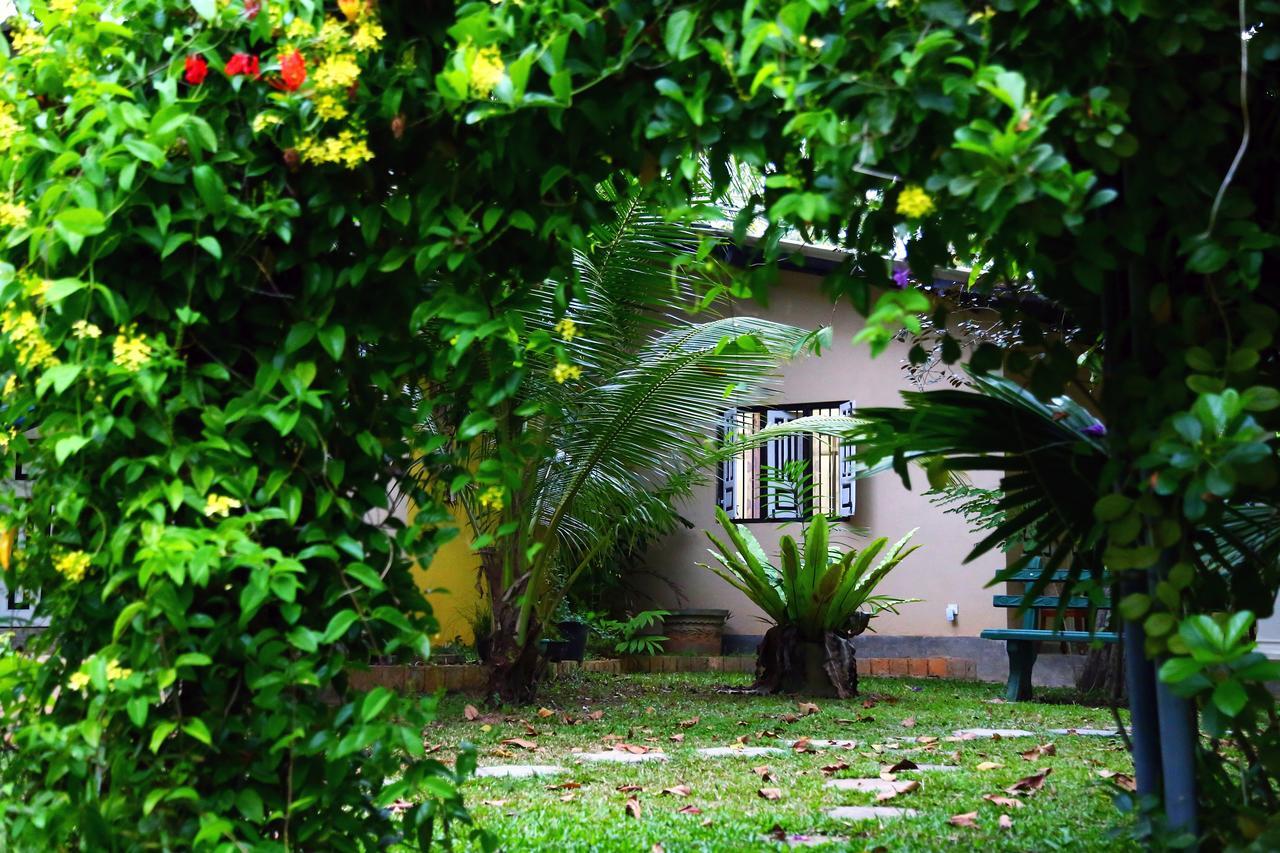 Coconut Villa Midigama East Eksteriør bilde