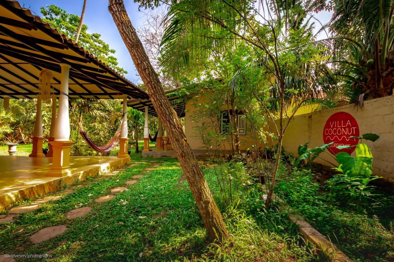 Coconut Villa Midigama East Eksteriør bilde